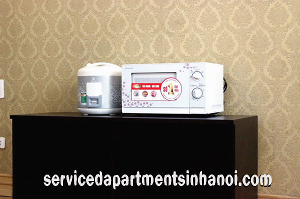 Budget Price Two bedroom Apartment Rental in Nguyen Co Thach Street, My Dinh 4
