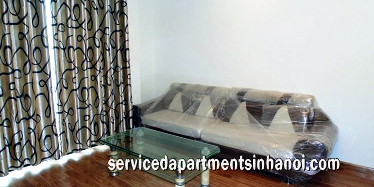 Budget Price Two bedroom apartment Rental in Times City, Hai Ba Trung 3