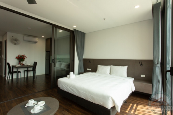 Centrally located, well equipped, stylish Apartment for rent in Doi Can str, Ba Dinh 3