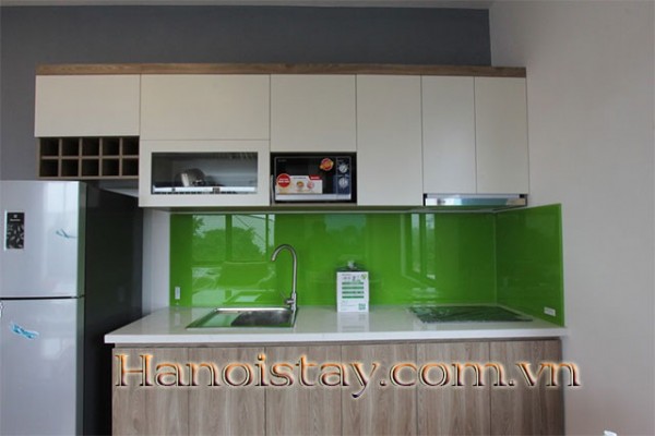 Cheap 2 bedroom apartment rental near Sheraton Hotel 5