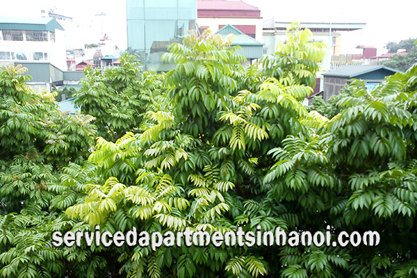 Cheap apartment near Truc Bach area with cheap price 8
