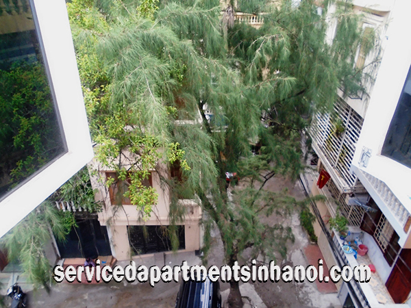 Cheap Newly Renovated Apartment Rental in Van Ho Street, Hai Ba Trung district 16
