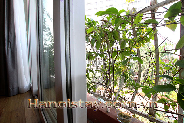 Cheap One bedroom apartment for rent in Xuan Dieu street, Tay Ho 4