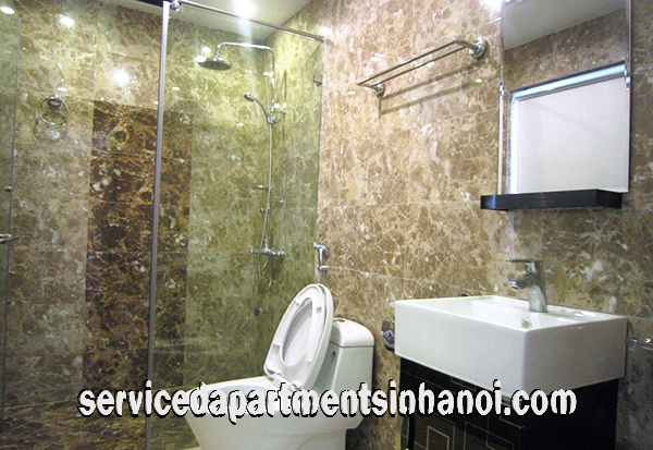 Cheap one bedroom apartment rental on Au Co str, West lake 11