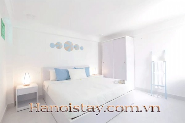 Cheap Price One Bedroom Apartment Rental in Truc Bach Area, Ba Dinh 3