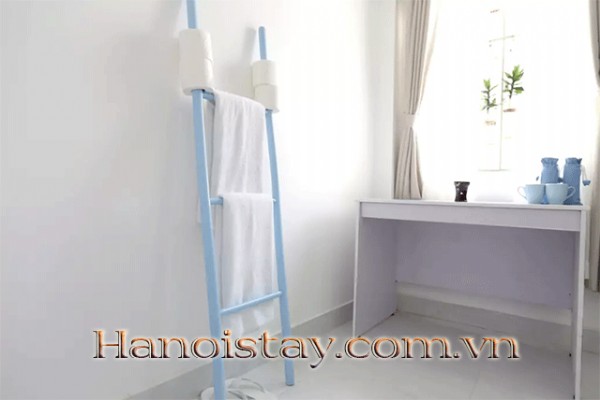 Cheap Price One Bedroom Apartment Rental in Truc Bach Area, Ba Dinh 5