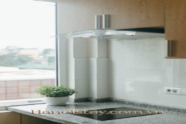 Classic style 2 bed apartment for rent near Lotte Center, Ba Dinh 7