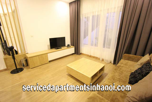 Convenient One Bedroom Apartment Rental in Trieu Viet Vuong street, Hai Ba Trung 2