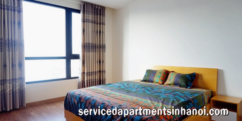Convenient size Two Bedroom Apartment rental in T2, Times City 10
