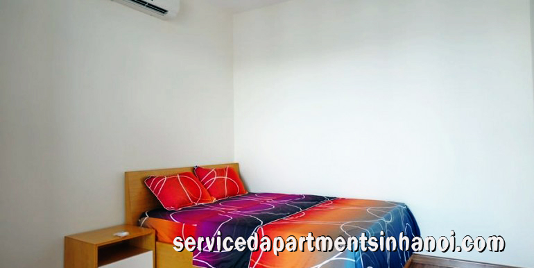 Convenient size Two Bedroom Apartment rental in T2, Times City 9