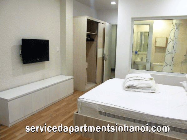 Convenient Studio Apartment Close to Hanoi Opera House, Hoan Kiem 3