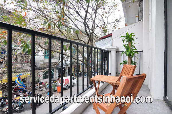 Cozy Apartment With Beautiful Balcony Rental in Hai Ba Trung district 1