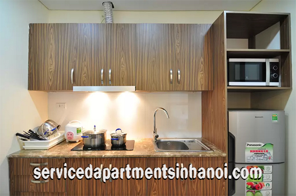 Cozy Apartment With Beautiful Balcony Rental in Hai Ba Trung district 5