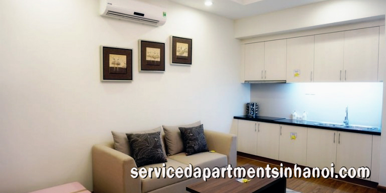 Cozy one bedroom apartment Rental in Times City, Hai Ba Trung 4