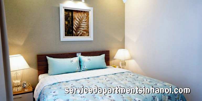 Cozy one bedroom apartment Rental in Times City, Hai Ba Trung 8