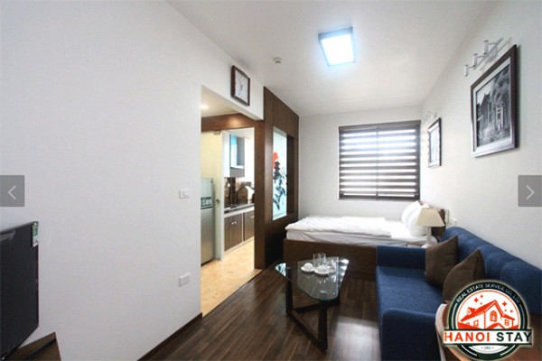 Cozy Serviced Property Rental in Cat Linh street, Dong Da 3