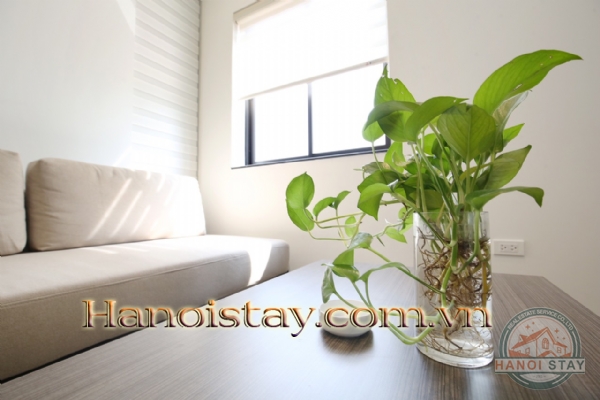 *Delightful and modern Apartment in Trinh Cong Son str, Tay Ho, Excellent Value Accommodation* 4