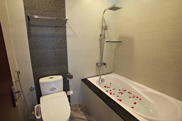Deluxe Executive Property for Rent in Tran Quoc Hoan Street, Cau Giay 1