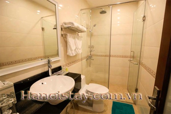 DELUXE & HARMONY Apartment in HAI BA TRUNG District, Center of Hanoi -