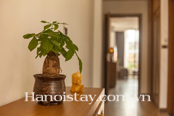 Deluxe One Bedroom Apartment Rental in Tu Hoa street, Tay Ho 11