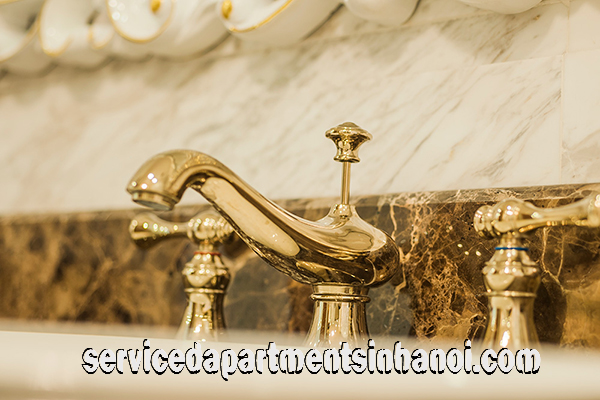 Deluxe Penthouse Apartment For rent in Center of Hai Ba Trung, Luxury Furniture 10