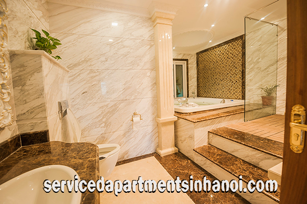 Deluxe Penthouse Apartment For rent in Center of Hai Ba Trung, Luxury Furniture 13