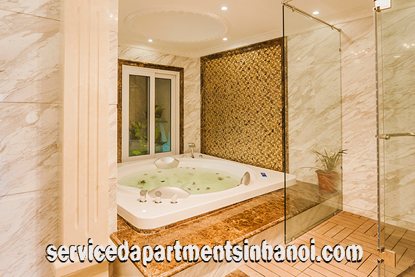 Deluxe Penthouse Apartment For rent in Center of Hai Ba Trung, Luxury Furniture 14