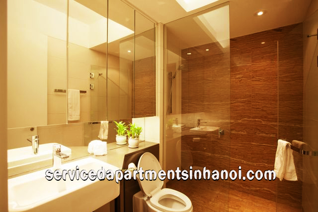 Deluxe Two bedroom Apartment Rental in IPH Complex, Cau Giay 10