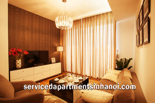 Deluxe Two bedroom Apartment Rental in IPH Complex, Cau Giay 3