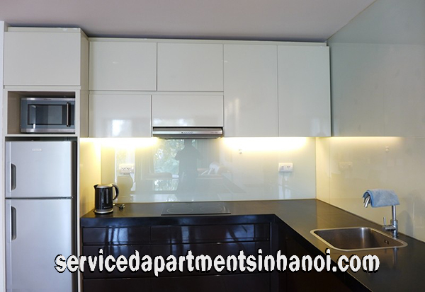 Deluxe Two Bedroom Apartment Rental in Tay Ho street, Hanoi 3