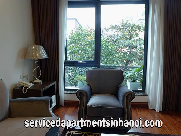 Deluxe Two Bedroom Apartment Rental in Trieu Viet Vuong str, Hai Ba Trung 6