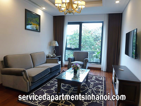 Deluxe Two Bedroom Apartment Rental in Trieu Viet Vuong str, Hai Ba Trung 7