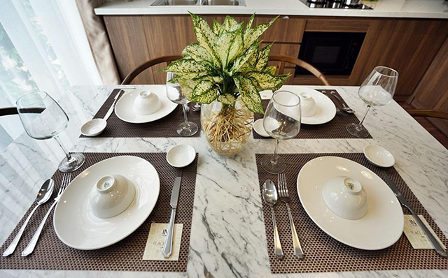 Deluxe Two Bedroom Property Rental in Tay Ho, Hanoi, Professional Services 23