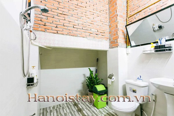 Duplex One Bedroom Apartment Rental in Van Bao street, Ba Dinh 10