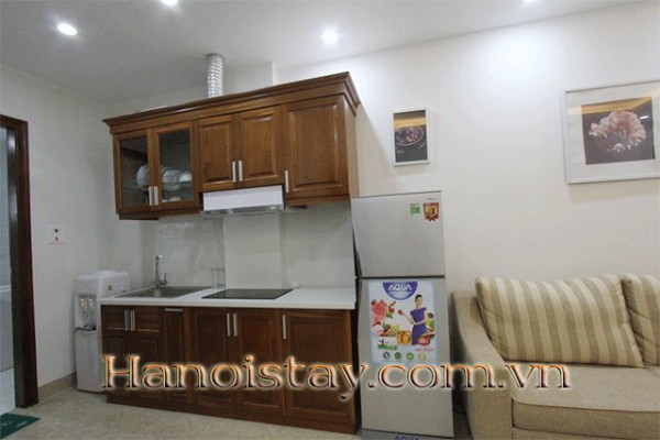 EOLOGICAL SERVICED APARTMENT Rental in TAY HO District - *BUDGET PRICE* 3