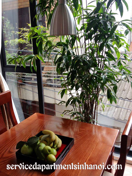 Full of light serviced apartment in Hai Ba Trung, Brand New 5