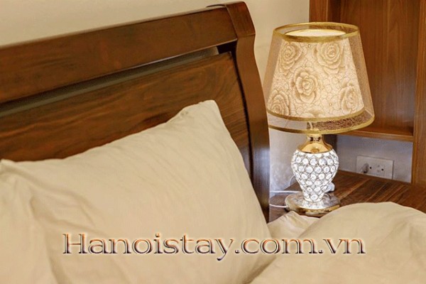 GENTLE & MODERN Décor Serviced Apartment in Tay Ho -