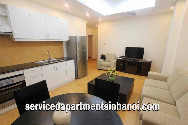 Good Quality One Bedroom Apartment Rental in Trieu Viet Vuong Str, Hai Ba Trung dist 3