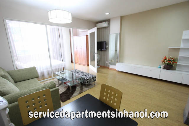 Good Size Fully furnished Apartment for rent in Mai Hac De street, Hai Ba Trung 2