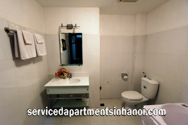 Good Size Fully furnished Apartment for rent in Mai Hac De street, Hai Ba Trung 9