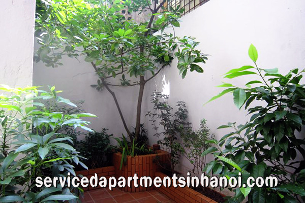Green Serviced Apartment for rent in Hai Ba Trung 7