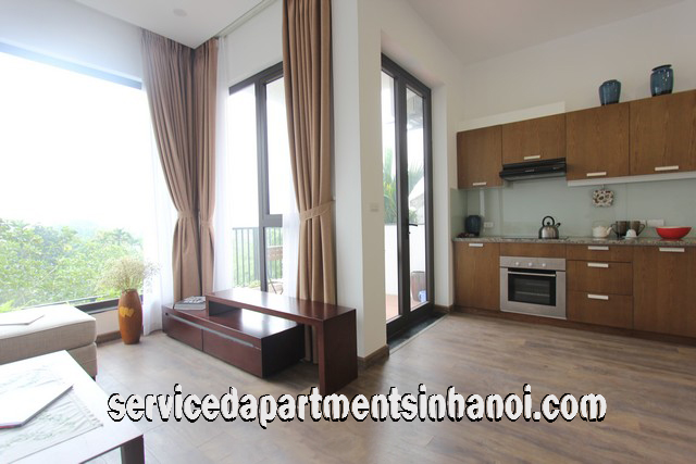 Green View Two Bedroom Apartment Rental in Dang Thai Mai street, Tay Ho 4