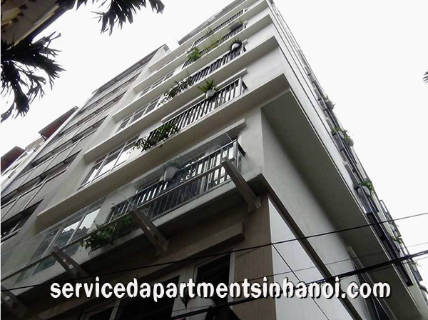 High Class Brand New Apartment Rental in KIm Ma st, Ba Dinh 1