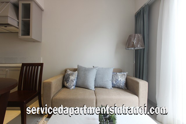 High Classed Serviced Apartment Rental in Quang An street, Tay Ho 4