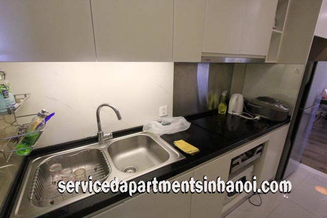 High Floor Two Bedroom Apartment Rental in Hoa Binh Green City, Hai Ba Trung 7