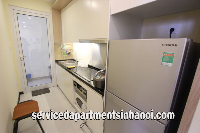 High Floor Two Bedroom Apartment Rental in Hoa Binh Green City, Hai Ba Trung 9