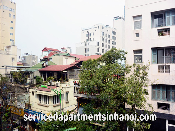 High Quality One Bedroom Apartment Rental in Center of Ba Dinh, Close to Truc Bach Lake 5