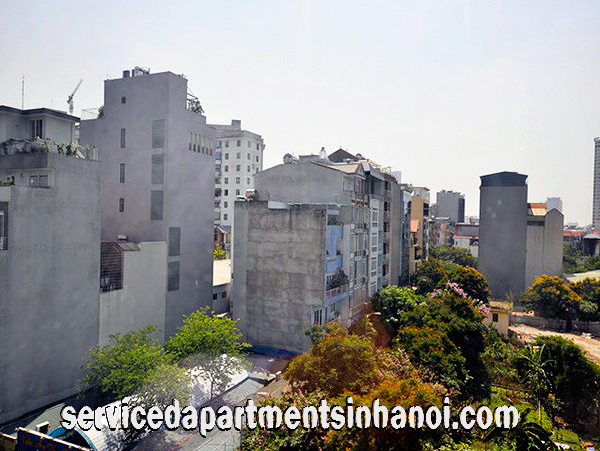 High Quality Serviced apartment Rental near Tran Thai Tong Str, Cau Giay 11