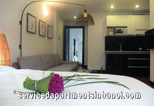 High quality Studio Apartment for rent in Ly Thuong Kiet st, Hoan Kiem 1