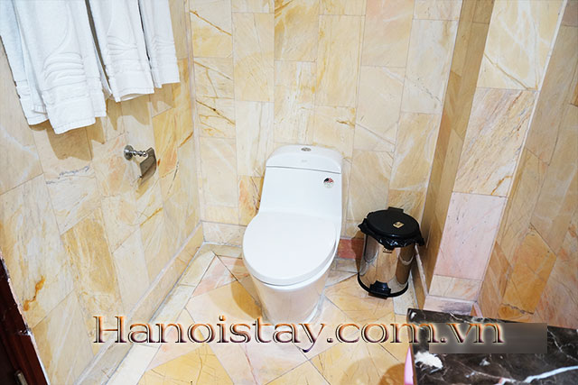 *High-End One Bedroom Property For Rent in Mayflower Bui Thi Xuan Hanoi* 9